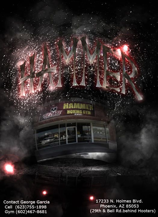 Hammer Boxing Boxing Gyms Near Me