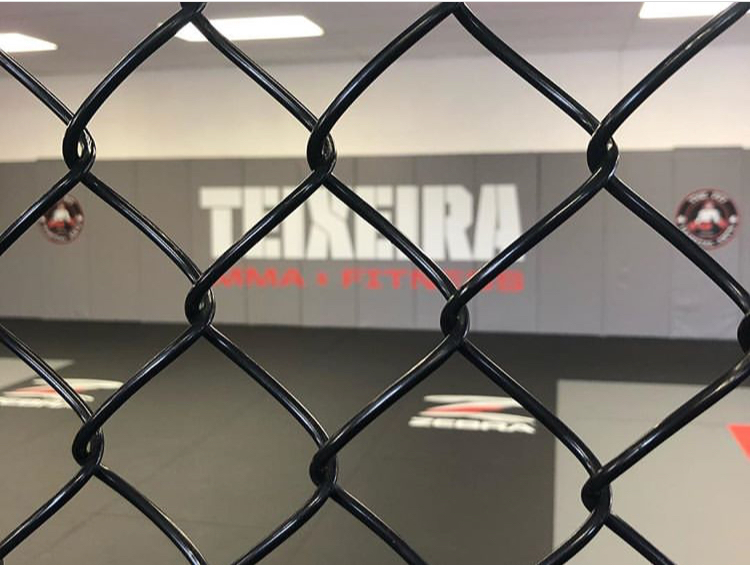 Teixeira MMA & Fitness - Boxing Gyms Near Me